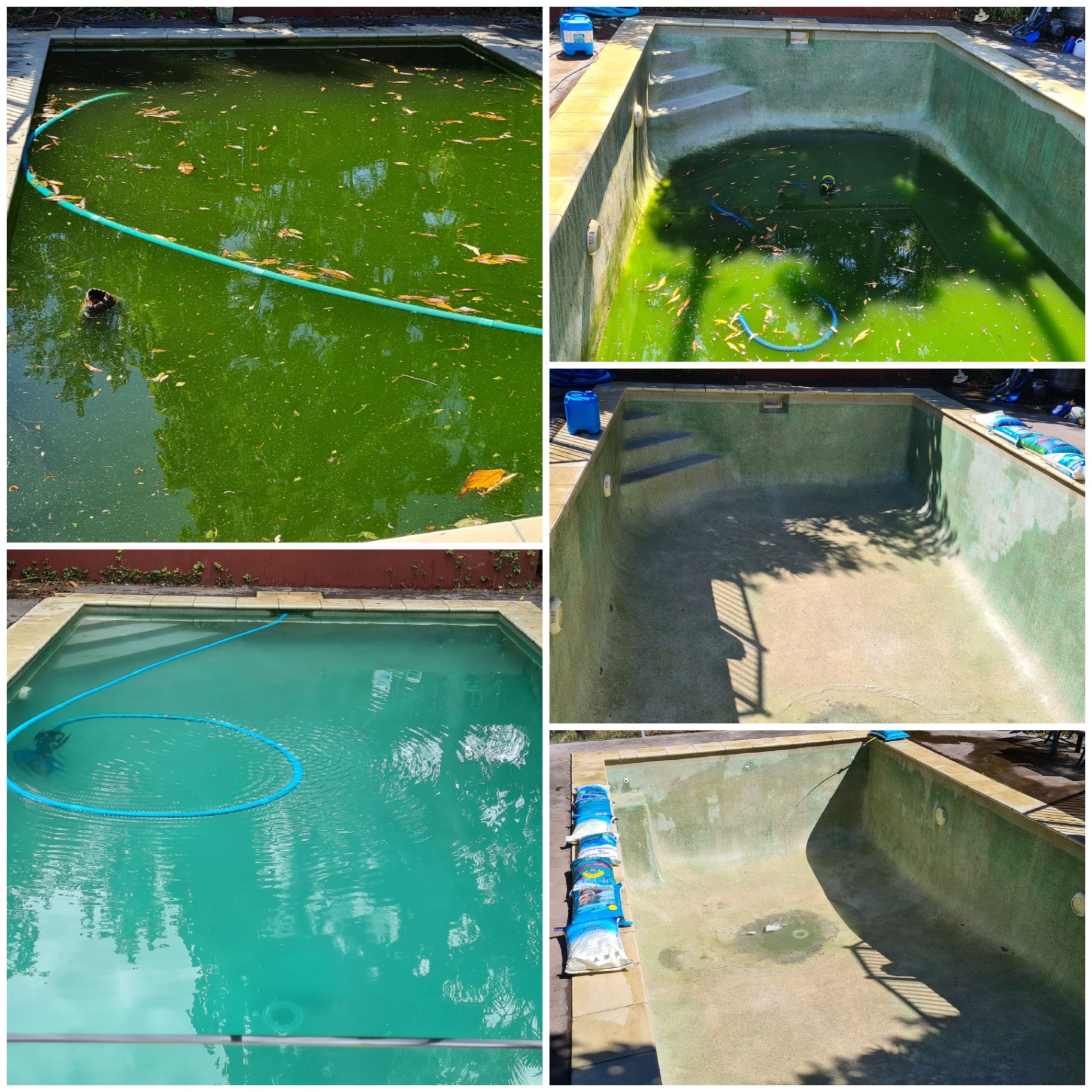 Algae-covered pool drain and acid wash clean-up in Forest Lake